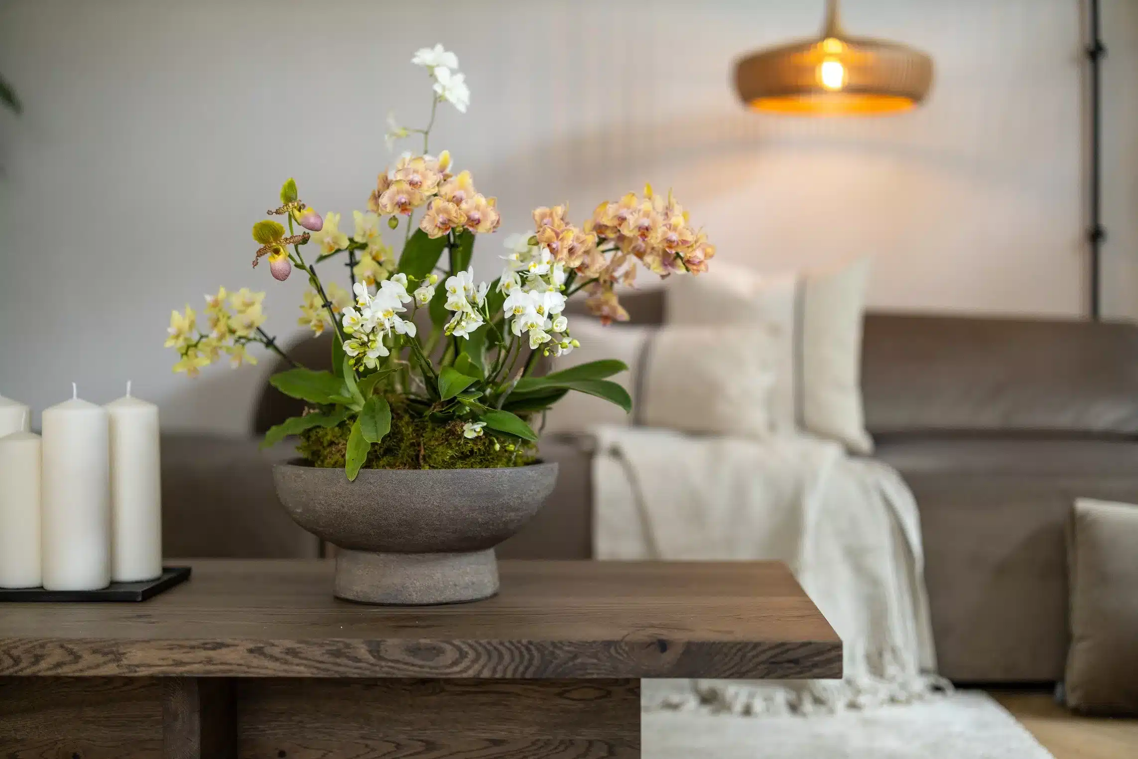 Bij House of a Stylist hebben we niet alleen een passie voor interieurstyling, maar ook ruime ervaring als creative producer. Met jarenlange expertise in dit vakgebied, kunnen wij je content naar een hoger niveau tillen, doormiddel van een gestructureerde organisatie, het vertalen van marketingstrategieën naar fotoshoots, en het stylen van fotoshoots in samenwerking met de fotograaf.